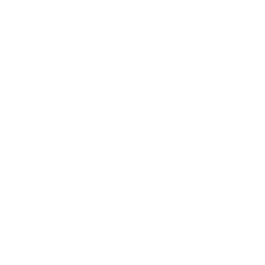 KAMI