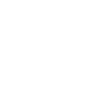 Cicada