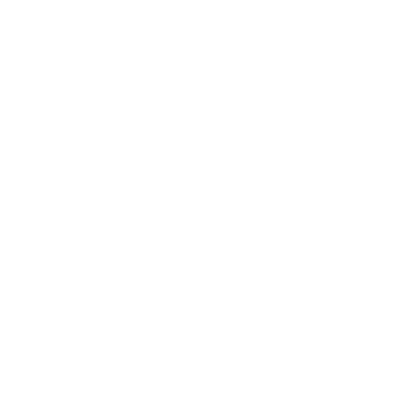 Burger Basics