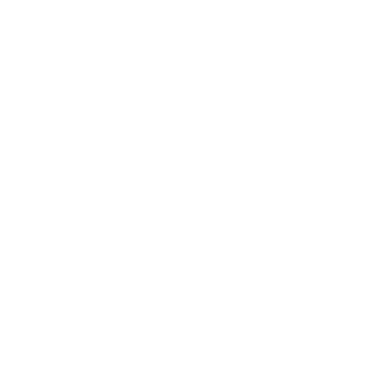 Troopers